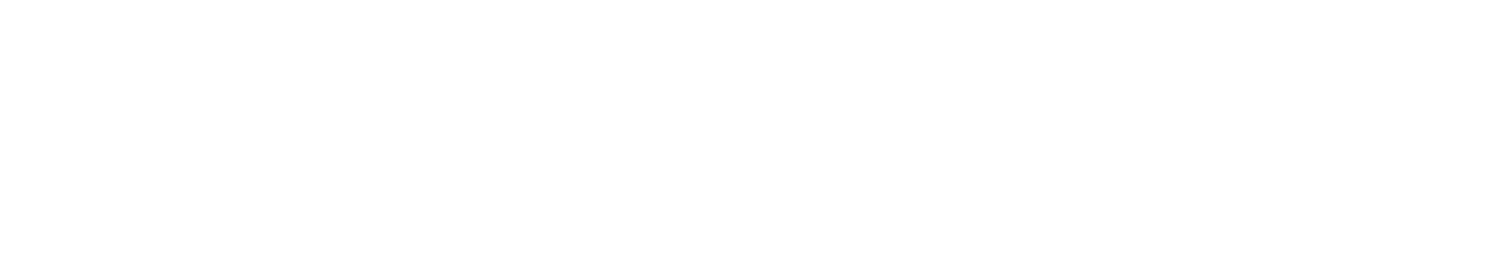 The AI Sage